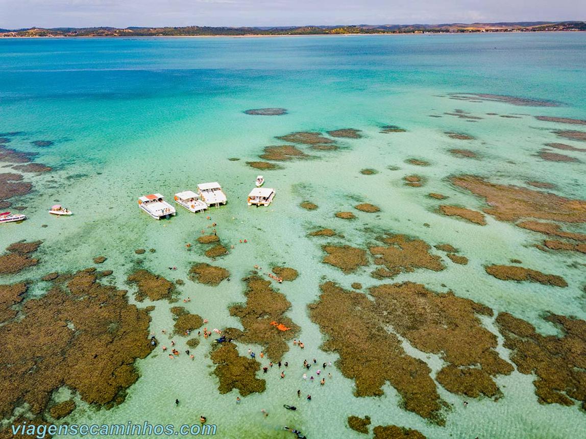 Piscinas naturais de Maragogi: Tudo sobre o passeio - Viagens e Caminhos