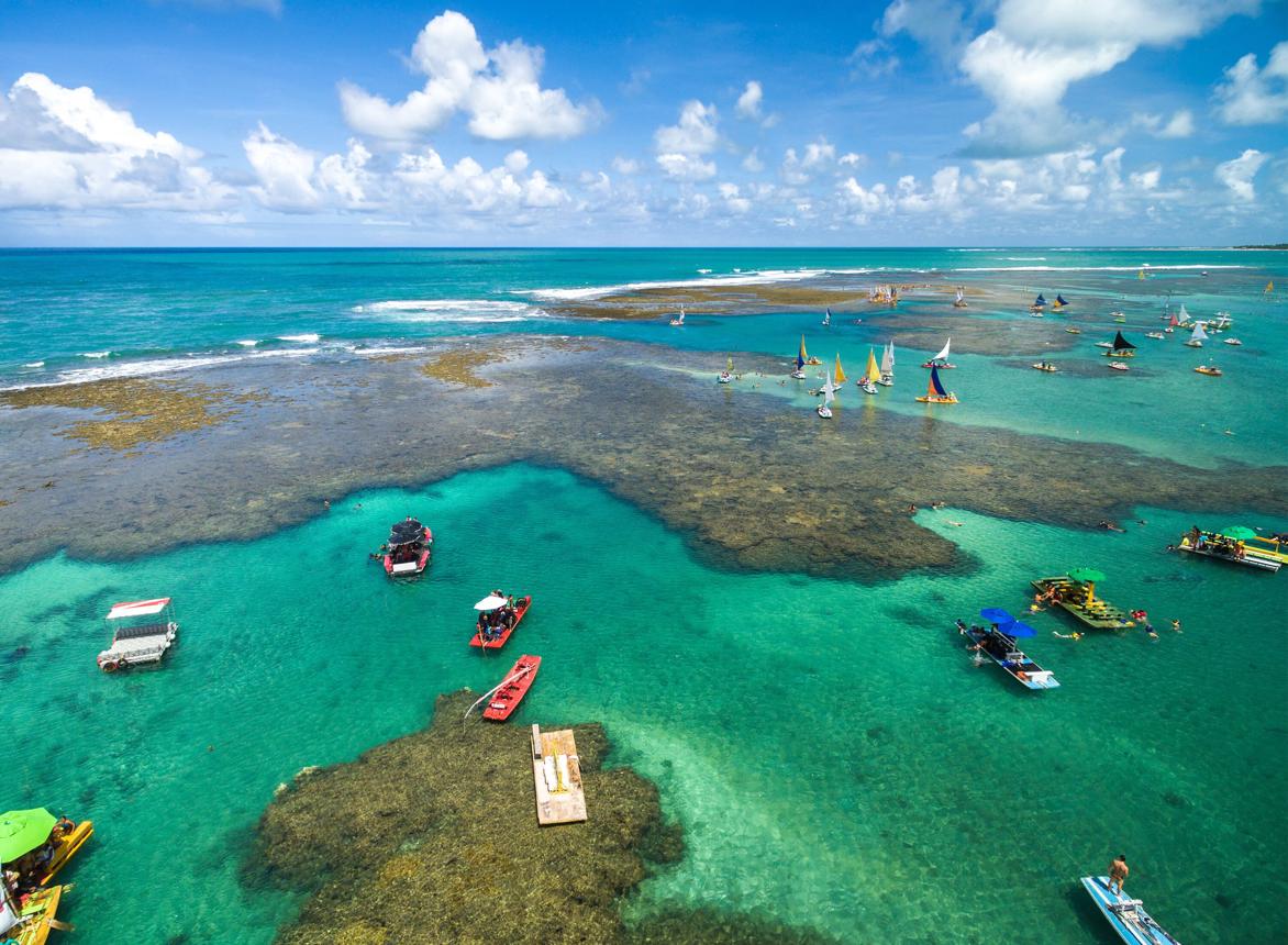 Porto de Galinhas Natural Pools Tours - Book Now | Expedia